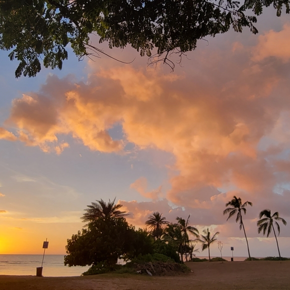 Meet your Posher, Julz! - Picture 2 of 5